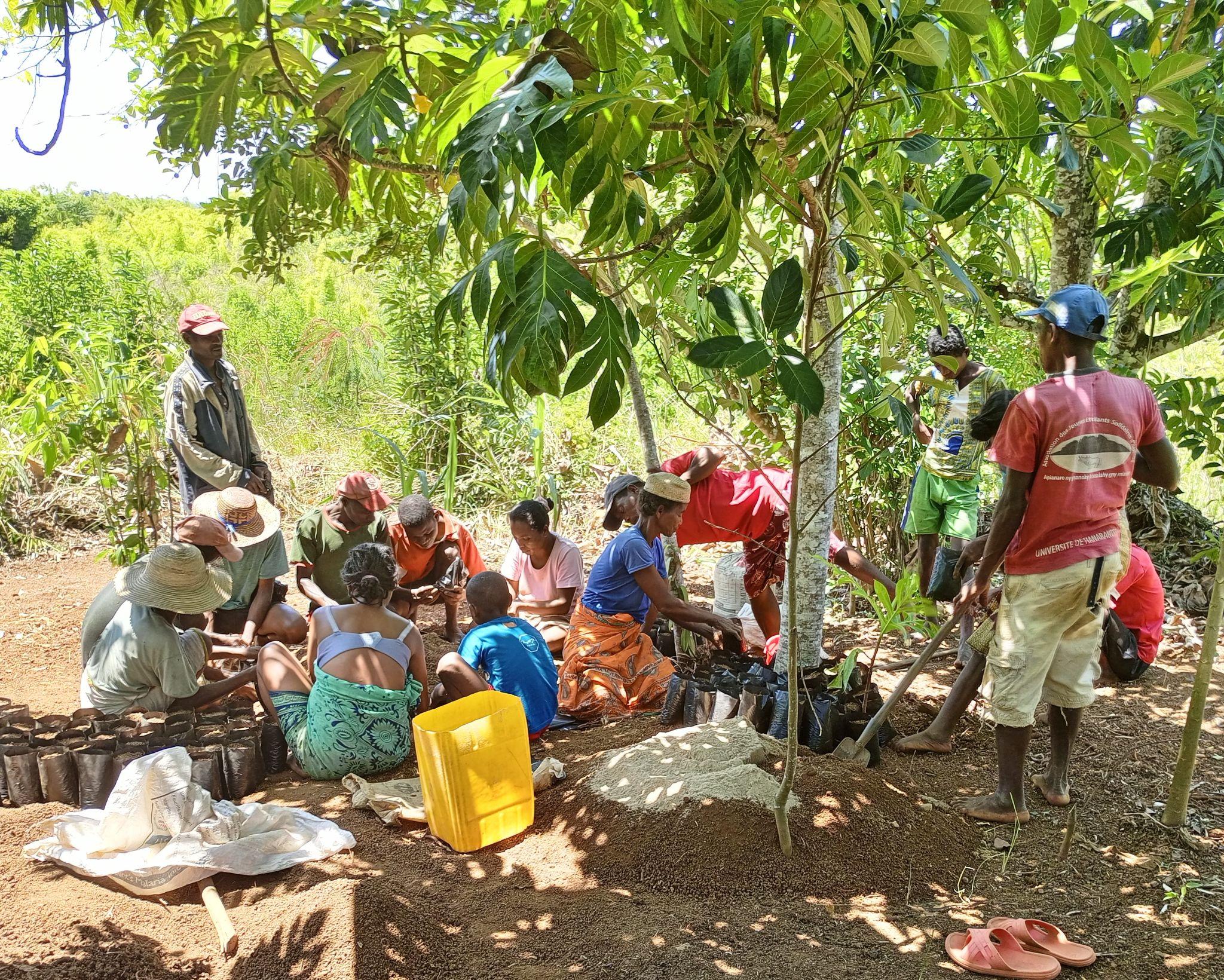 Climate resilience and cyclone preparedness
