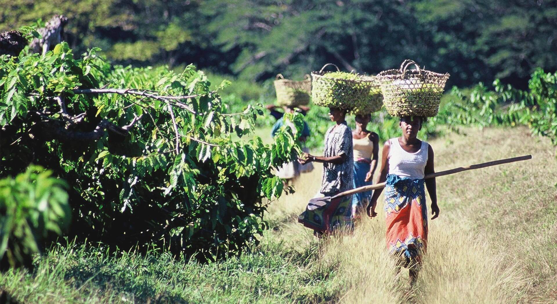 Ethical Sourcing