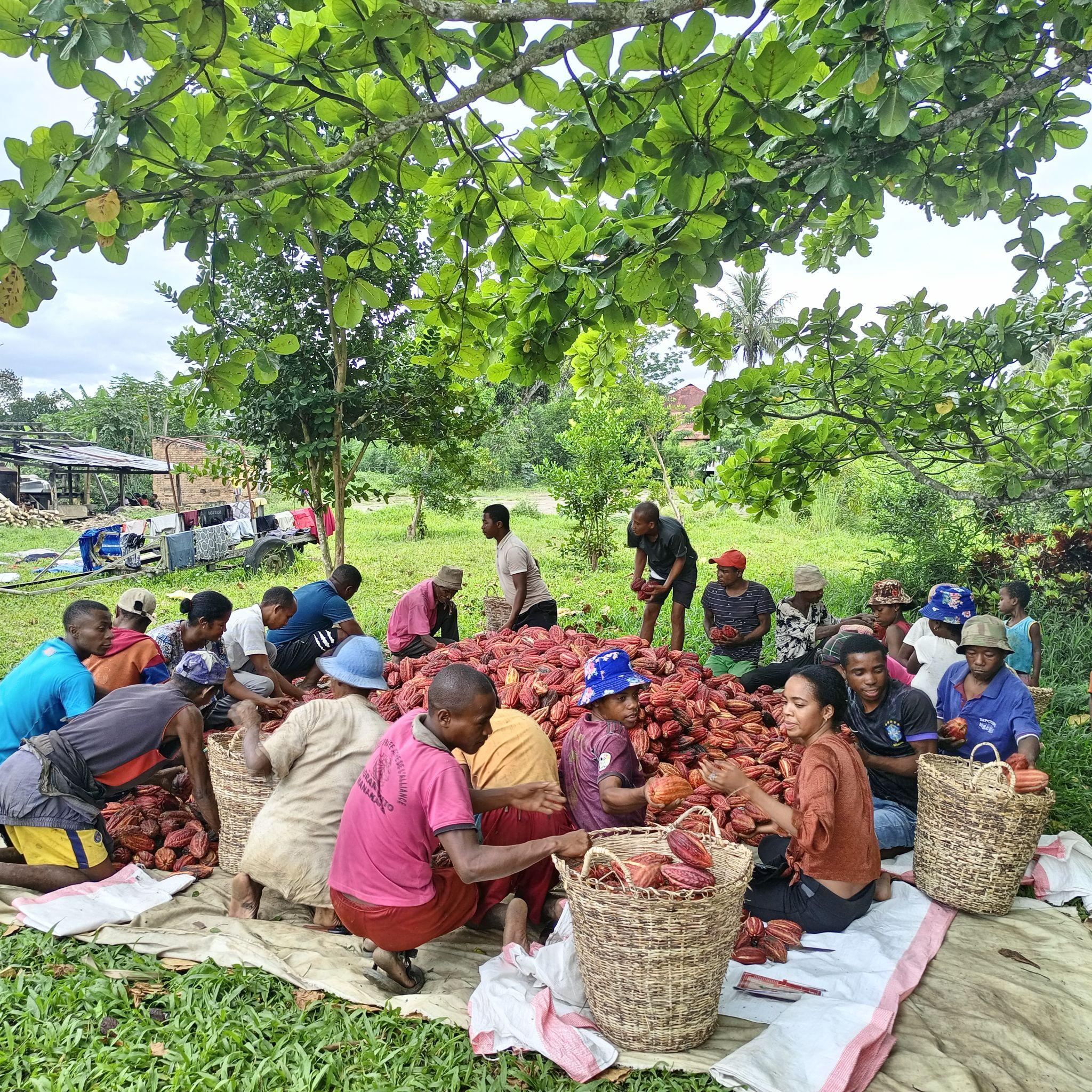 Empowering rural communities with HARONA